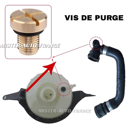 Vis purge laiton - en,