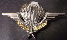 Insigne Brevet 2° Régiment