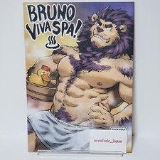 Bruno Viva Spa Hide&Seek