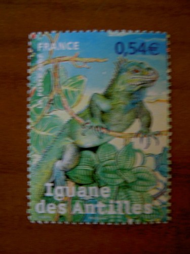 France 4033 iguane en 2007 - iguane,