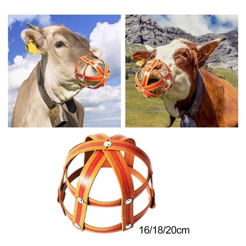 Museau pâturage cheval - museau,