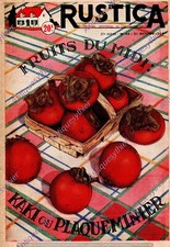 KAKI PLAQUEMINIER PERSIMMON / JARDINAGE 1954 POTAGER MERIDIONALE NOVEMBRE