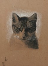 Attribué Jules LAURENS dessin tableau art animalier portrait chat fusain 19ème