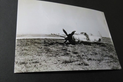Photo avion republic 47d - avion, p-47d