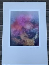 David Hamilton Bouquet De