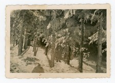 PHOTO snapshot, 1940 Luxembourg 2 militaires forêt neige fusil ombre photographe