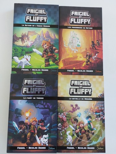 Lot livres minecraft - lot,