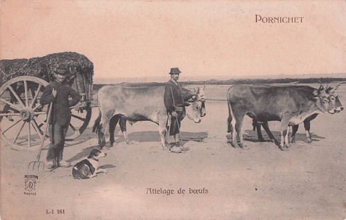 Carte postale ancienne