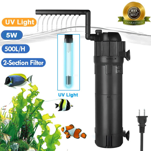 Internal aquarium fish tank - aquarium,