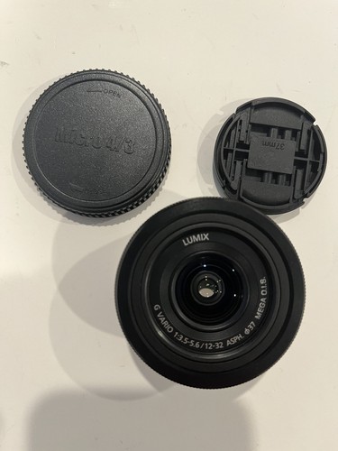 Panasonic lumix vario - g,