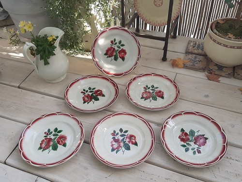 Assiettes desserts - 6,