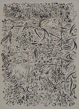 André MASSON : Fleurs et