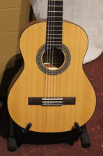 Guitare de Concert pour