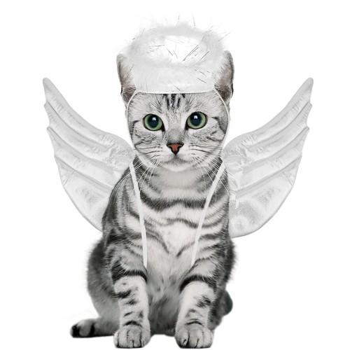 Ailes ange costume - ailes,