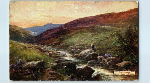 Dartmoor près okery bridge - dartmoor, d'okery