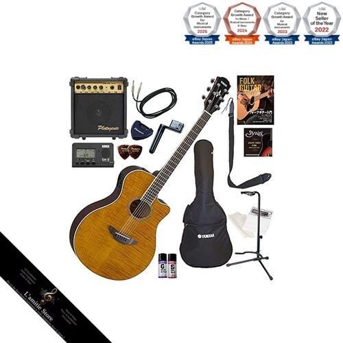 Guitare acoustique électrique