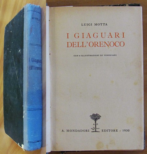 Motta giaguari dell orenoco - motta, i
