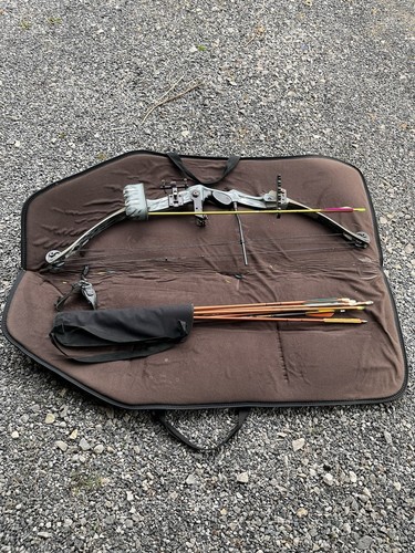 Hoyt fast flite compound bow - flite,