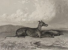 Abraham Cooper 1787-1868