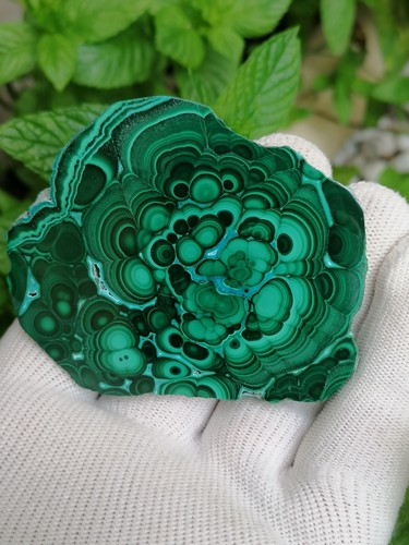 Malachite chrysocholle du - chrysocholle,