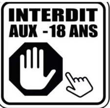 CARTE HOLO SEXY GIRL MANGA Waifu SAILOR MOON pour adulte