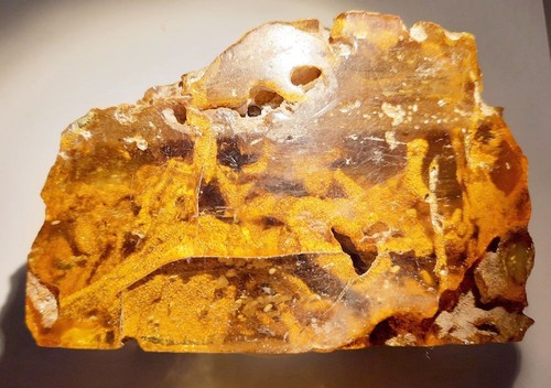 Collections ambre copal - ,