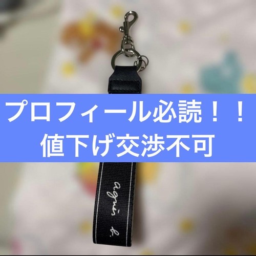 Agnes logo key - agnes,