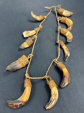 Collier parure de dents Papouasie Nouvelle Guinée Sepik Iatmul Abelam Korowai