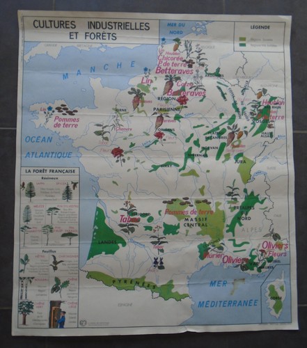 Carte scolaire france cultures - scolaire,