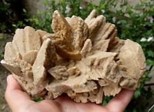 Belle Rose des Sables 14.5x9cm minéraux collection pierre lithothérapie reiki