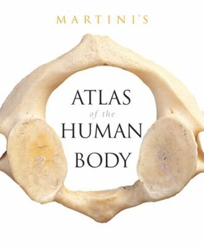 Atlas martini corps - atlas,