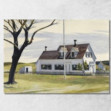 Arbre Mort Et Côté De La