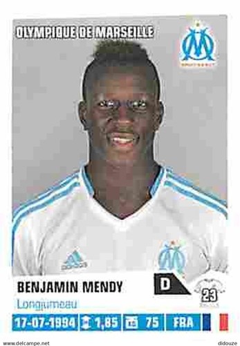 Stickers panini france - panini, foot