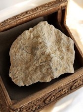  Fragment calcaire ancien avec