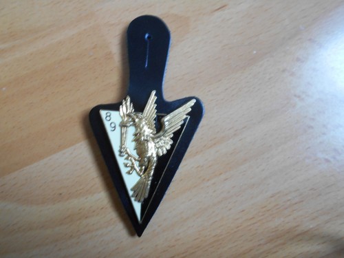 Insigne cuir bs - insigne,