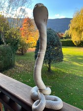 Taxidermie reptile. Cobra dressé, hauteur 47 cm , état satisfaisant .