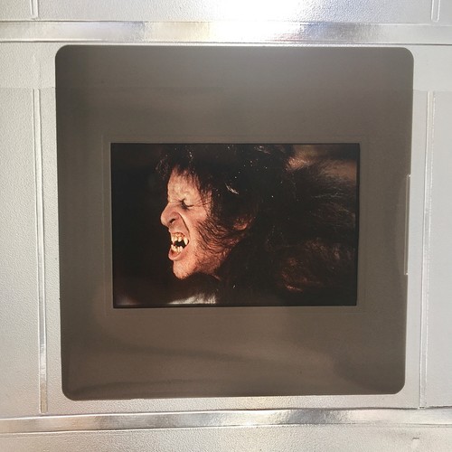 American werewolf london - werewolf, in