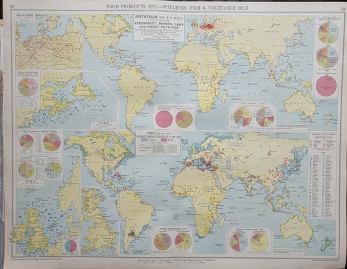 1928 carte monde animal - carte,