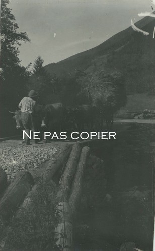 Nice vers 1900 attelage - nice,