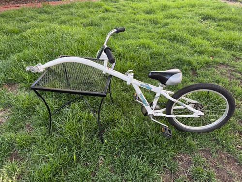 Weeride copilot 20in pull - copilot, 20in.