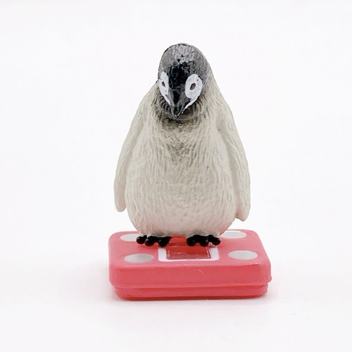 Panda ana penguin - panda's, mascotte