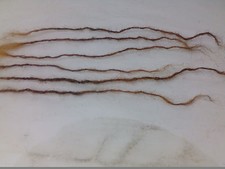 Extensions Cheveux Humains