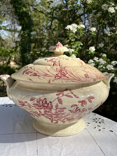 Soupière colibri c - soupière, e.c