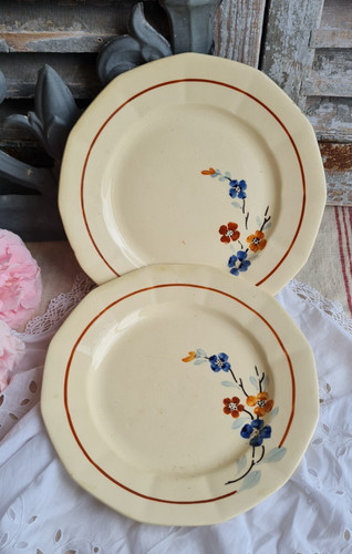 Anciennes assiettes plates - 2,