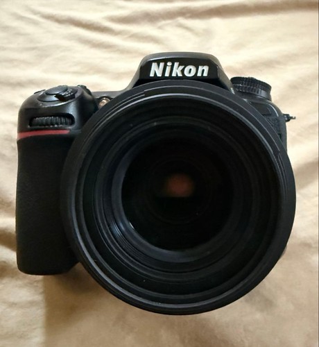 Nikon d7500 digital - digital, slr