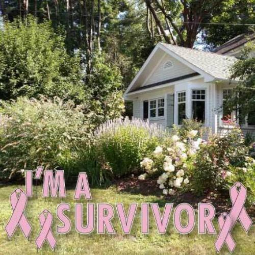 Survivor breast cancer - i'm,