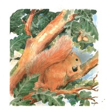 Antique Roth Signed Squirrel