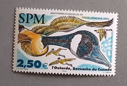 France saint pierre - saint,