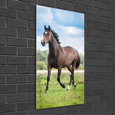 Tulup Image Sur Verre Acrylique Tableaux 50x100 - Cheval sur le terrain