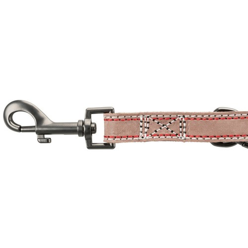 Laisse 2 m en - mm,